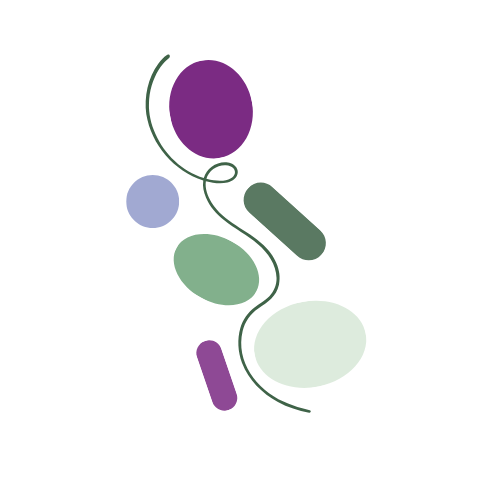Dark green wiggly line with lozenges in Tuntara colours: mauve, lilac, mint, sage and forest green. The abstract image represents a path through complexity.