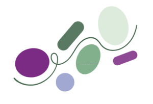 Along a swirled line going top left to bottom right there are blobs in mint, lilac, mauve, sage and forest green. This abstract symbol represents Tuntara Pathways colours and a riff on the logo.
